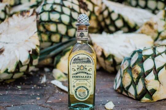 Fortaleza Tequila Vertical Collection