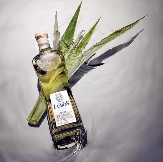 Lobos 1707 Joven Tequila